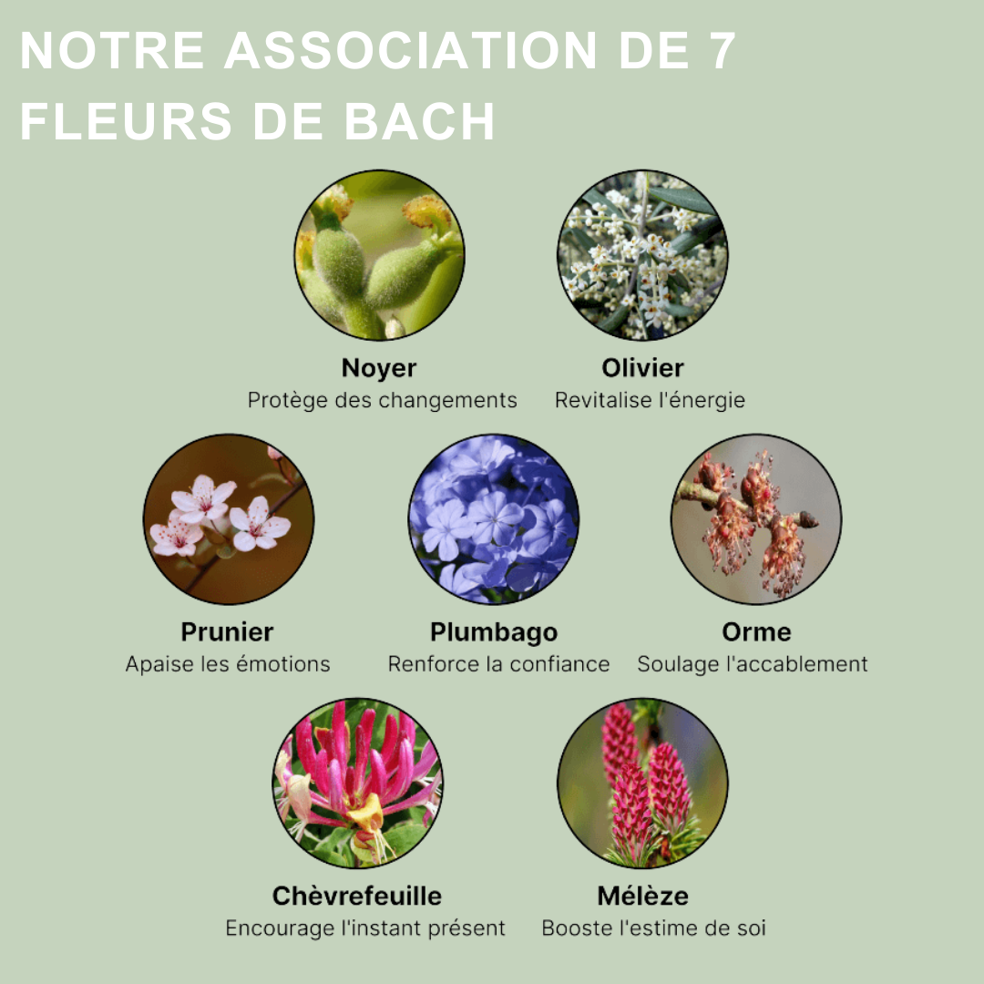 Fleurs de Bach - Menopause