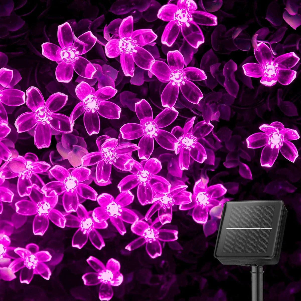 Solar Blossom Fairy Lights