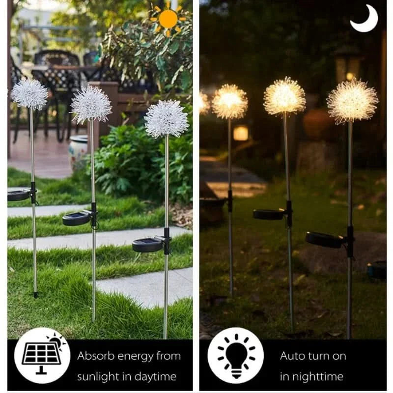 Outdoor LED Solar Dandelion Lights(2 Packs)