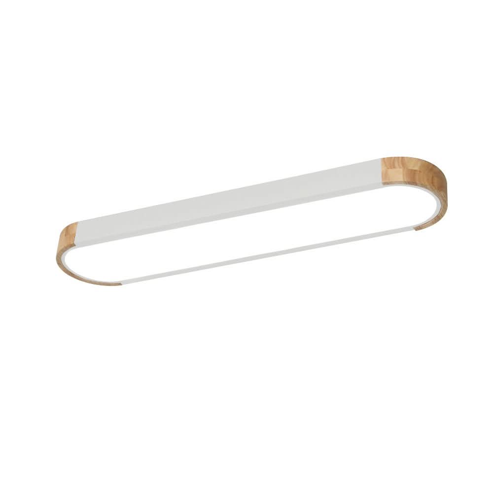 Modern Dimmable Integrated LED Ceiling Light